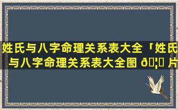 姓氏与八字命理关系表大全「姓氏与八字命理关系表大全图 🦆 片」
